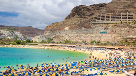 Livraison Druni à Las Palmas de Gran Canaria .